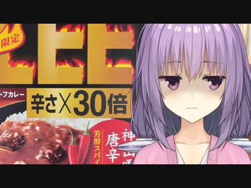 暑い日って辛いカレーを食べたくなるよね【第四回スパイス祭】