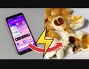 スマホでポップコーンをつくる