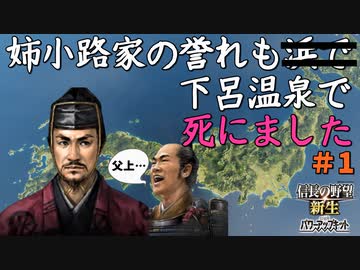 【信長の野望 新生 PK】#1 姉小路家の誉れは下呂温泉で死にました【ゆっくり実況】