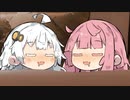 別にあかりちゃんの家なら飲めるとかそういう問題ではない