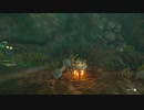 【Switch】リンクがゾナウとゼルダ探し旅【プレイ動画】part08