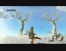 【Switch】リンクがゾナウとゼルダ探し旅【プレイ動画】part09