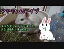 【ゼルダの伝説Totk Part1】早速だけど進め方間違えてる？まあ良いか