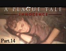 【A Plague Tale -Innocence-】ゲーム実況 #14 心落ち着く場所に辿り着いたのもつかの間、進行する弟の病の解決を願い新たな場所へ...