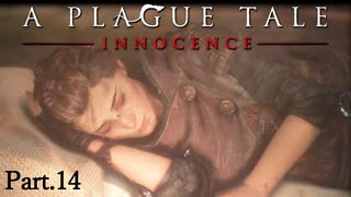 【A Plague Tale -Innocence-】ゲーム実況 #14 心落ち着く場所に辿り着いたのもつかの間、進行する弟の病の解決を願い新たな場所へ...