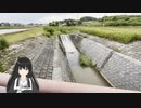 川のエビを探す