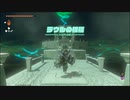 【ゼルダの伝説 ティアーズ オブ ザ キングダム】再びハイラルを救うまで【実況】 part66
