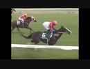 2002年　アイビスサマーダッシュ　カルストンライトオ