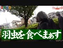羽虫