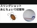 スリングショット あとちょいで初獲物　#Ｘディ食糧難対策