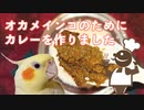 インコが食べてもOKなカレー作りに挑戦