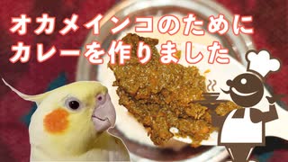 インコが食べてもOKなカレー作りに挑戦