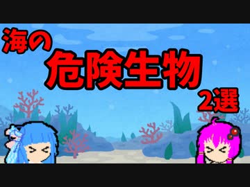 【VOICEROID解説】ゆかり先輩と見る危険生物【海編③】