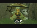 (ティアキン) ゼルダを探す旅part45　パーヤ族長【ゼルダの伝説ティーアズオブザキングダム The Legend of Zelda Tears of the Kingdom 】