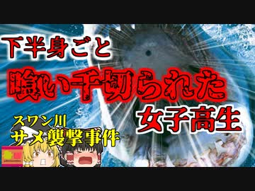 【2023年】「イルカの群れだ！一緒に泳いでみよう」川に飛び込んだ女子高生を待っていたのは"最恐のサメ"だった 『オーストラリアスワン川サメ襲撃事件』【ゆっくり解説】