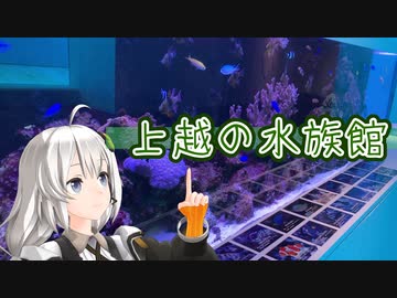 【VOICEROID車載】早朝から水族館を目指して上越に行くあかりさん