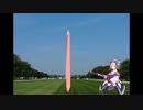 モモイ星条旗