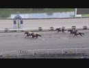 2023年7月29日高知競馬4R ＪＢＣ協会協賛高知佐賀スタリオンシリーズ サトノアラジン賞(準重賞) スペルマロン