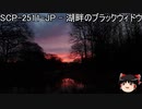 ゆっくりと一緒にSCPを紹介したい！その159【SCP】