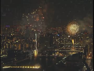 ホモと見るピカチュウ花火