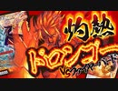 【デュエマ】熱さが勝負の鍵！？灼熱VS雷炎の決戦！！メ〜ラメラ【対戦動画】