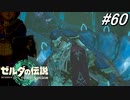【ティアキン】ドレファン王を襲ったのは〇〇〇姫⁉【ゼルダの伝説 ティアーズ オブ キングダム】実況プレイ part60