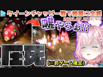 【ピクミン2】クイーンチャッピー戦で100点の反応を見せるこより