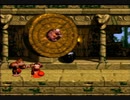 【DK】3-4 ノーティの遺跡2【101%】