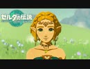 【1.5倍速実況】「最も早く売れた任天堂ゲーム」としてギネス世界記録を達成した神ゲー【ゼルダの伝説 ティアーズ オブ ザ キングダム】#END