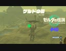 ゼルダの伝説 ティアキン #40 ゲルドの街へ ティアーズ オブ ザ キングダム