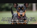 トイ・マンチェスター・テリアの魅力！