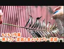 【もくもく作業】黒スプレー塗装と金メッキスプレー塗装