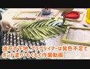 【もくもく作業】造花の下地、プラプライマーは発色不足でボンド塗り