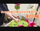 【もくもく作業】花置きを作る【作業音のみ】蓮の花編