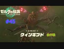 ゼルダの伝説 ティアキン #45 クィンギブド 後半 雷の神殿4 ゲルドの街のルージュ その5 ティアーズ オブ ザ キングダム