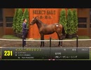 【セレクトセール2023】 １日目１歳馬 上場番号211～231（１日目最終）