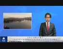 メキシコ最大の港でフェンタニルの麻薬ビジネスをめぐりギャングが横行