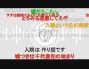 ニンポー（千代豊和） 入院すると親に伝えた