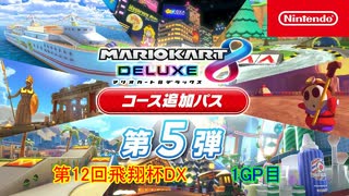 【マリオカート8DX】第12回飛翔杯DX 1GP目【yoxc視点】