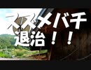 【増刊号】#56 スズメバチ退治するよー！！