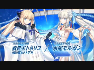 Amazon.co.jp: 水着モルガン プレイマット FGO Fate フェイト