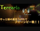 【Terraria】やっと見つけた蜂の巣...！クイーンビー会いたかった"7