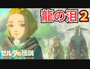 【ゼルダの伝説 Totk】このハイラルで一番自由な奴が勇者だ！！【実況】#15