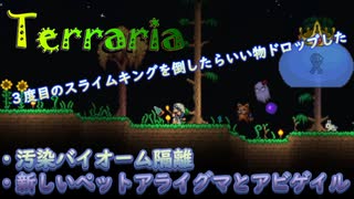【Terraria】一旦探索やめて汚染が広がらないようにする！"8