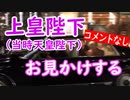 【外配信vol.33.5】【コメント無し】上皇陛下をお見かけする【切り抜き】【アフラン】