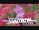 【競馬】2023年 第71回北海道新聞杯クイーンステークス(GⅢ)【ドゥーラ / 斎藤新】