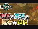 【ゼルダの伝説TOTK】岩石を纏ったボルドゴーマをぶっ壊す！【ティアキン】#77