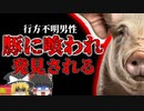 【2012年】 豚舎の中で発見された"人間の残骸"行方不明になった農場主...【ゆっくり解説】