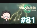 【実況プレイ】 ゼルダの伝説 ティアーズオブザキングダム part81 【いちご大福】