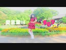 【まひな】  愛言葉Ⅲ / 踊ってみた 【お誕生日】